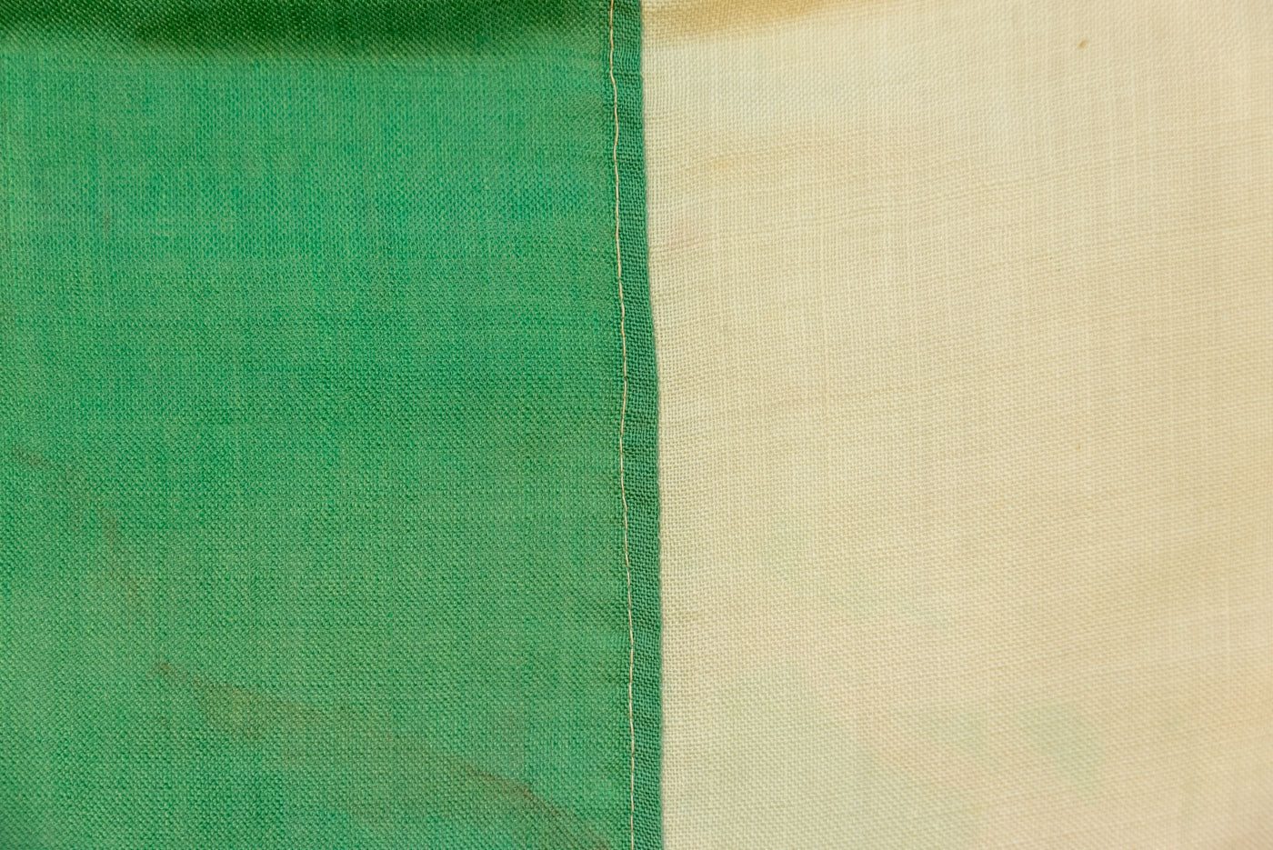Bandiera tricolore Sabauda