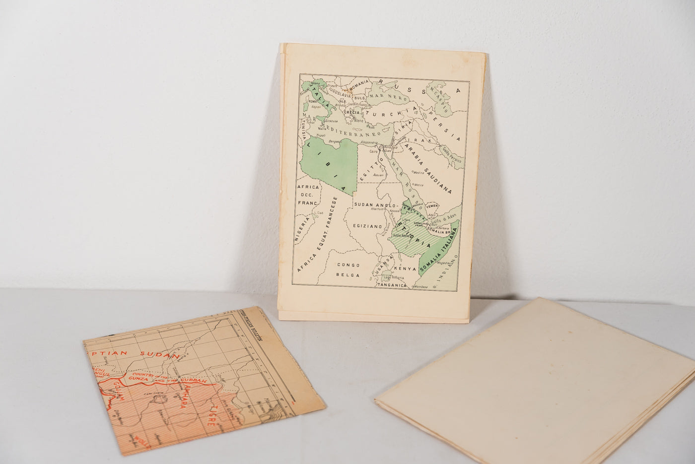 Carta geografica AOI a cura del CTI