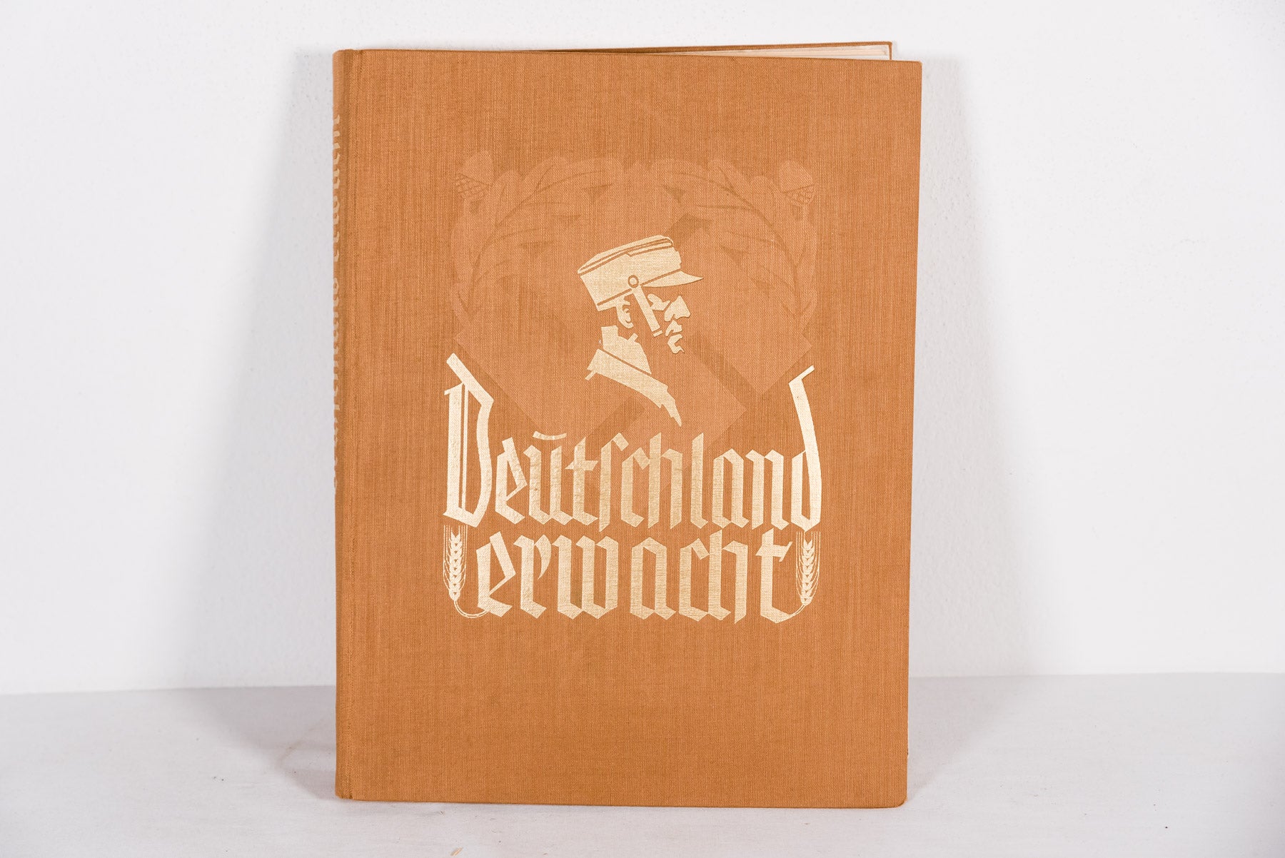 “Deutschland Erwacht”. Album di figurine