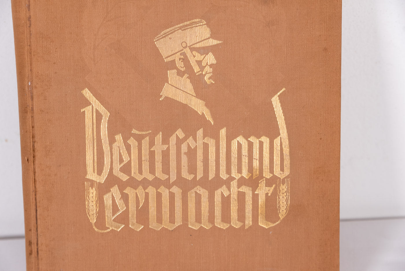 “Deutschland Erwacht”. Album di figurine