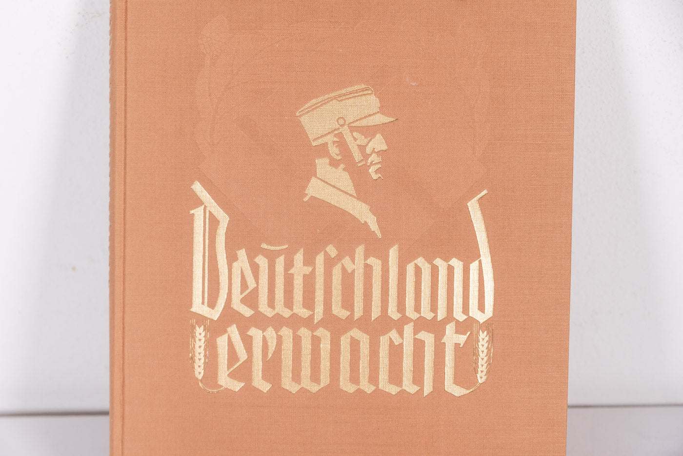 “Deutschland Erwacht”. Album di figurine