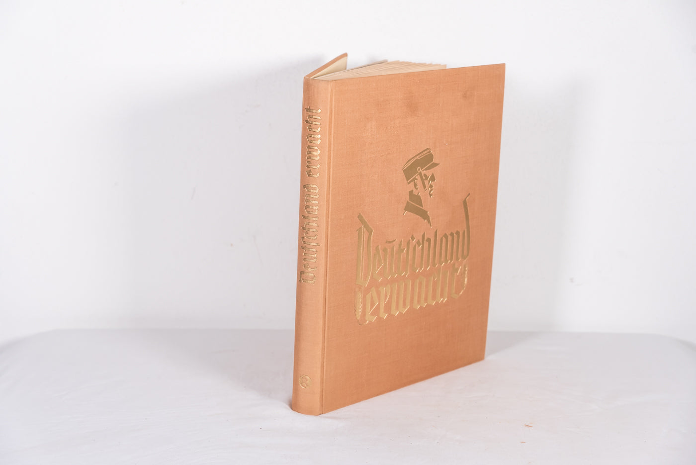 “Deutschland Erwacht”. Album di figurine