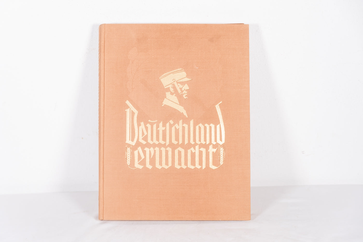 “Deutschland Erwacht”. Album di figurine