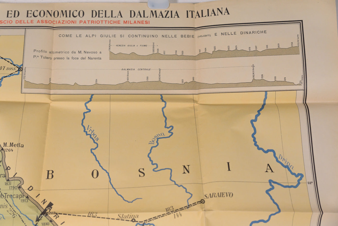 Carta geografica con i confini della Dalmazia Italiana