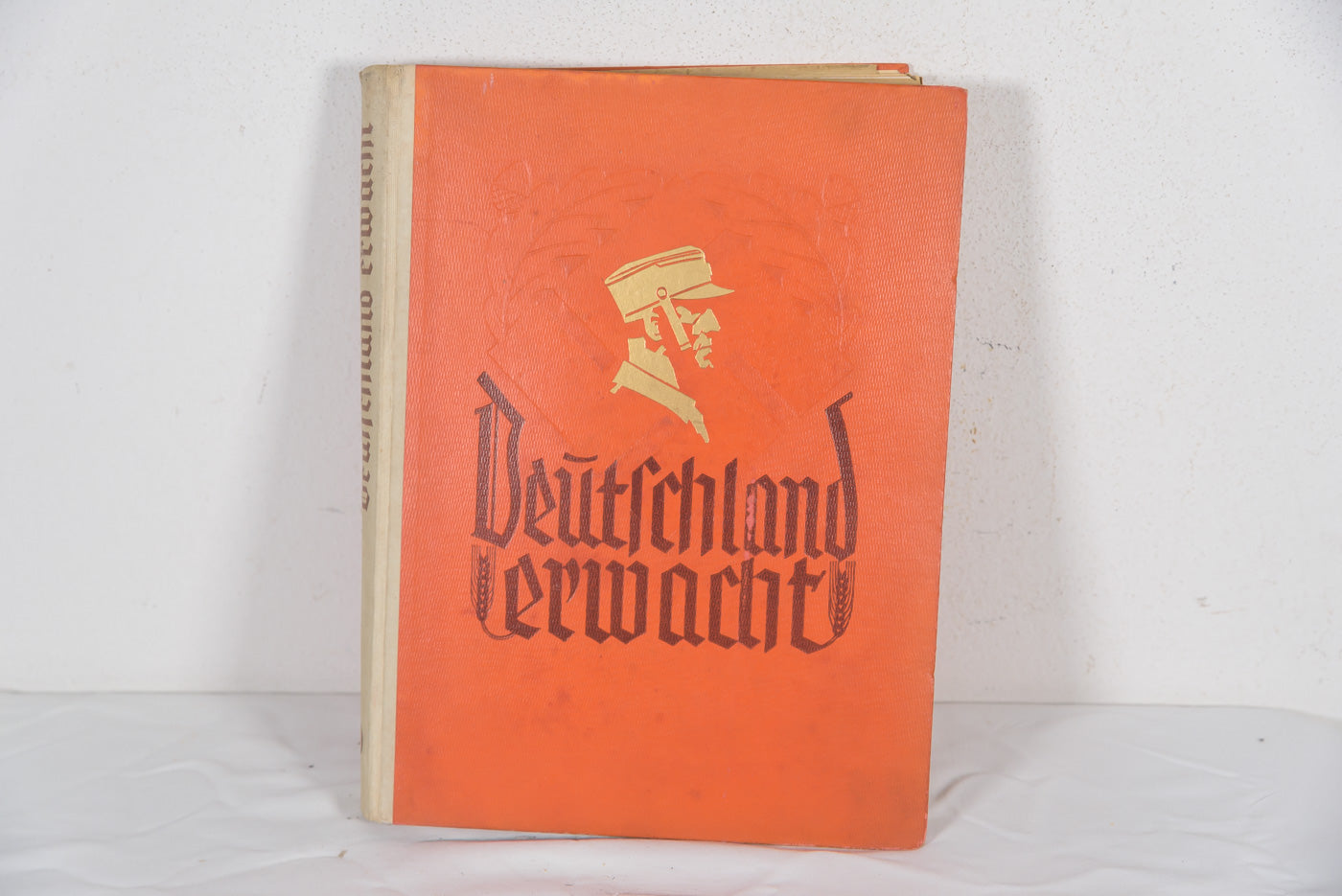 “Deutschland Erwacht”. Album di figurine