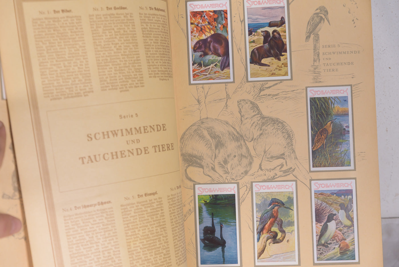 Album figurine "Aus dem Tierreich" III° Reich, foto 6