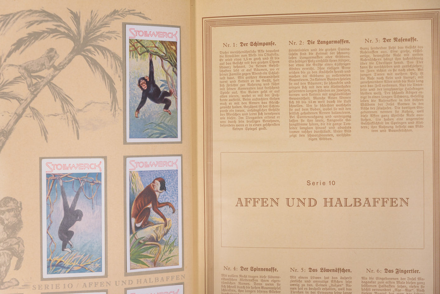 Album figurine "Aus dem Tierreich" III° Reich, foto 7