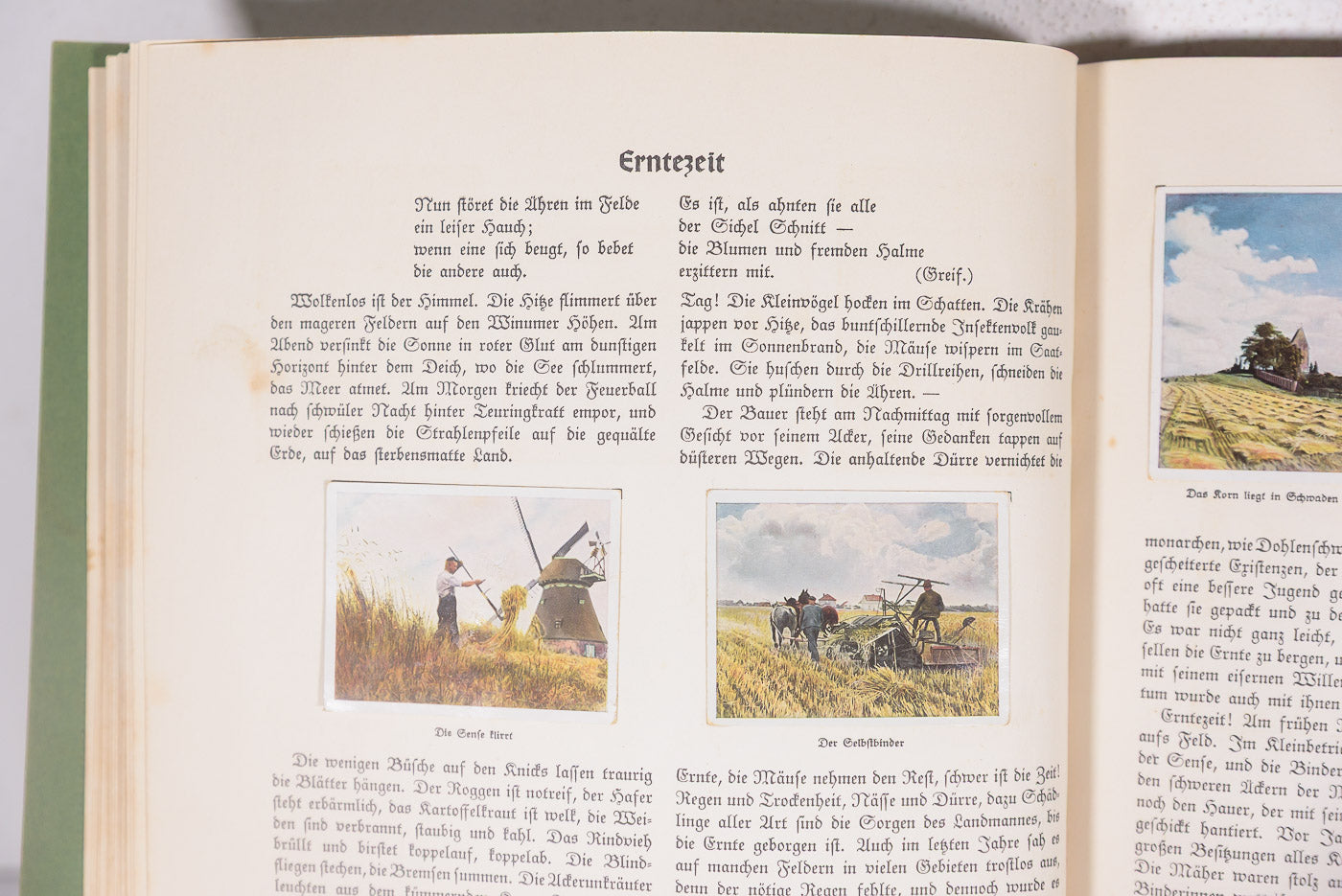 "Auf Deutsche Scholle" Album figurine - 1935