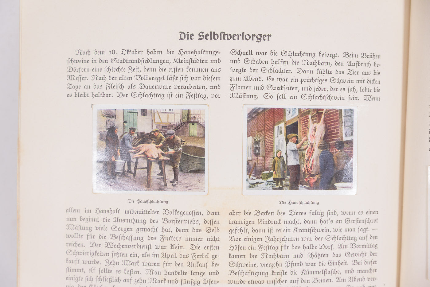 "Auf Deutsche Scholle" Album figurine - 1935, foto 9