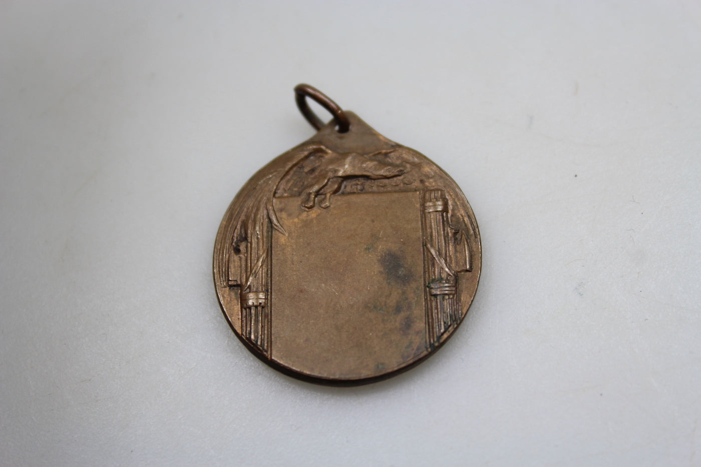 Medaglia generica PNF