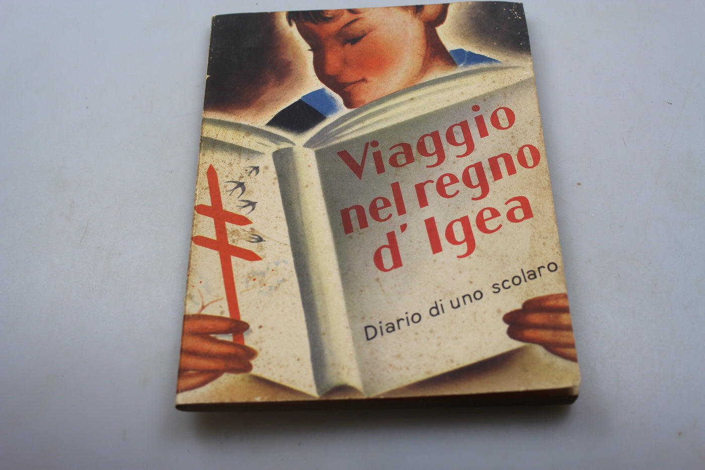 "Viaggio nel regno d'Igea" Diario di uno scolaro -1937
