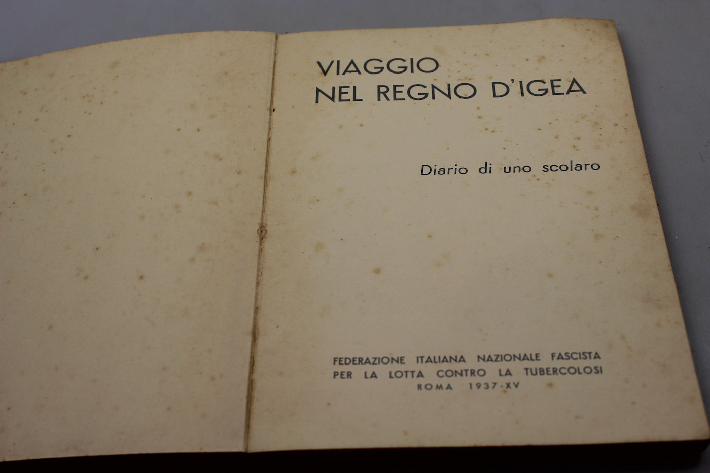 "Viaggio nel regno d'Igea" Diario di uno scolaro -1937