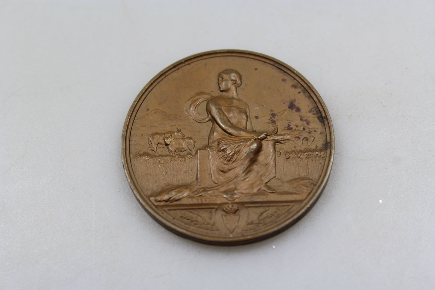 Medaglia Ministero Nazionale Economia
