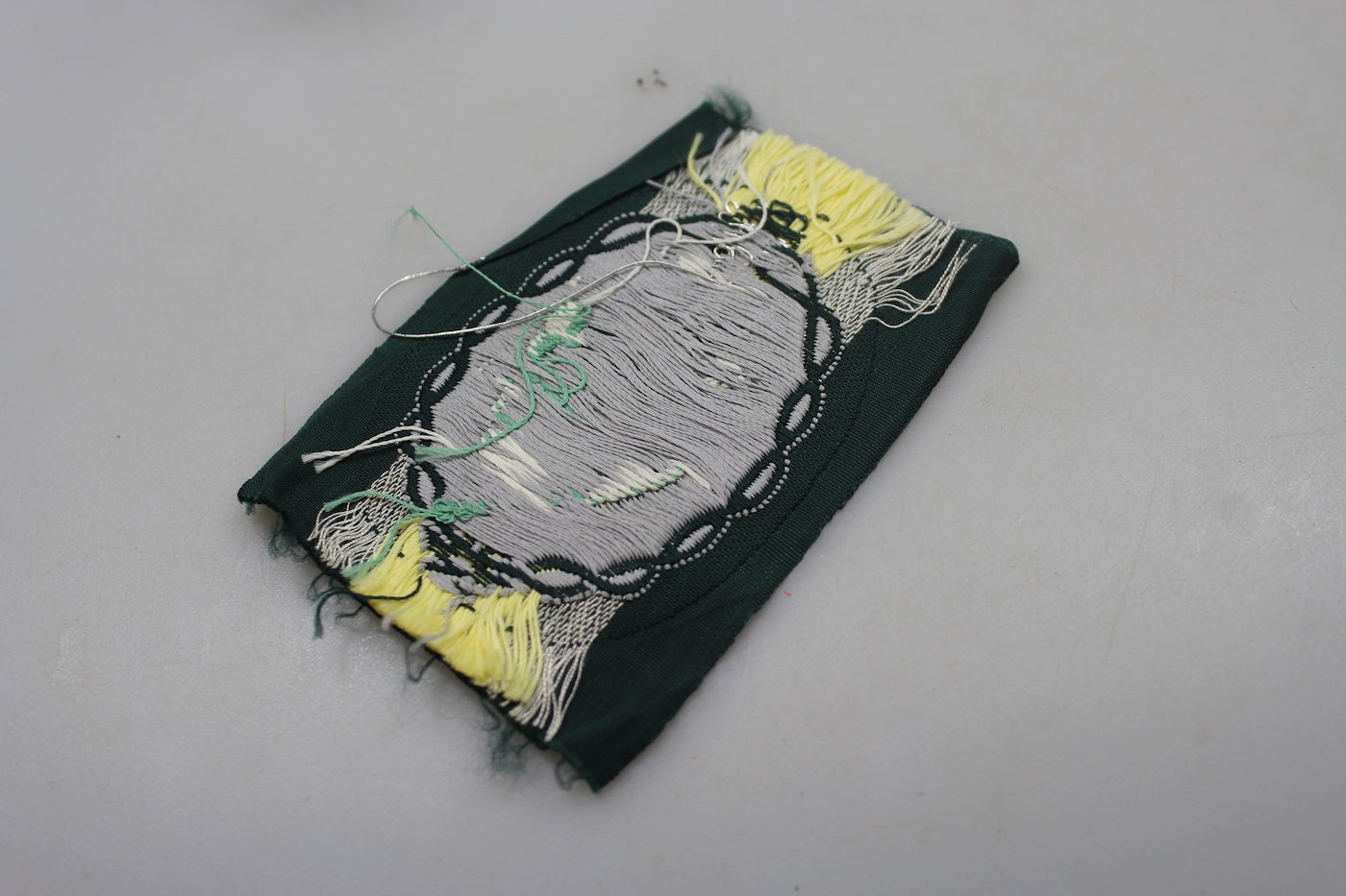 Edelweiss Gebirgsjager WW2