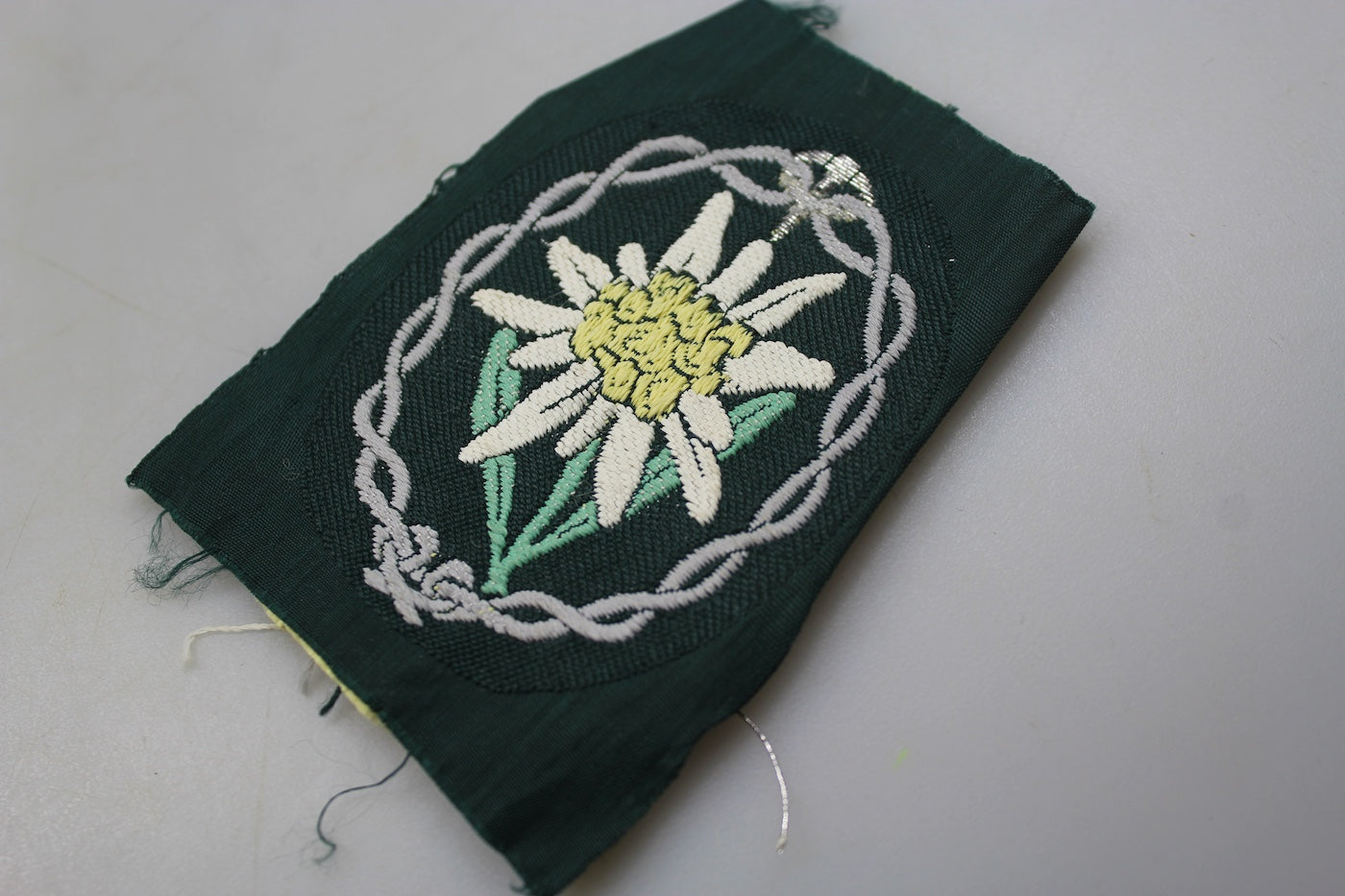 Edelweiss Gebirgsjager WW2