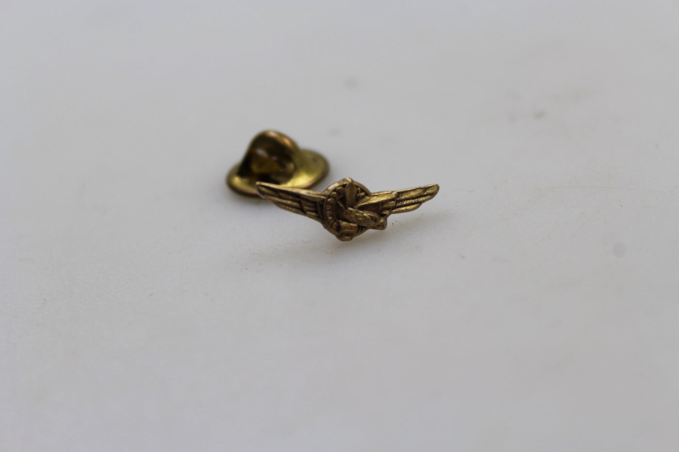 Repro pin bavero Pilota RSI