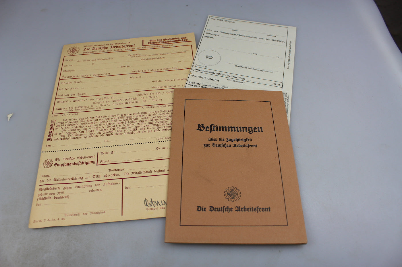 Set regolamento e due moduli iscrizione DAF