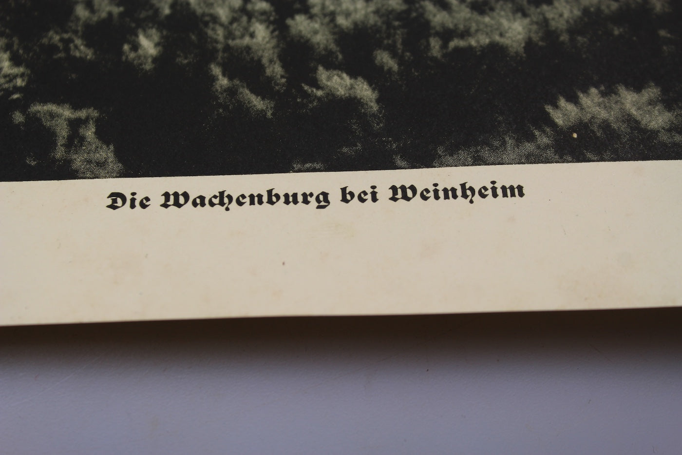 "Gaustudententag Munchen - Oberbayern" 15-18 Juni 1939