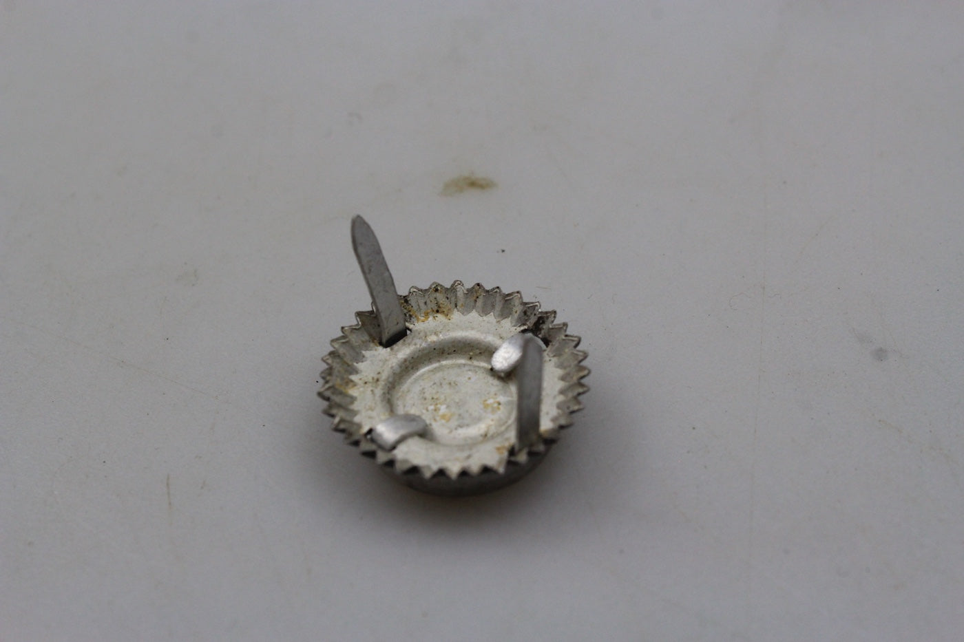 Coccarda Schirmmutze WW2, foto 3