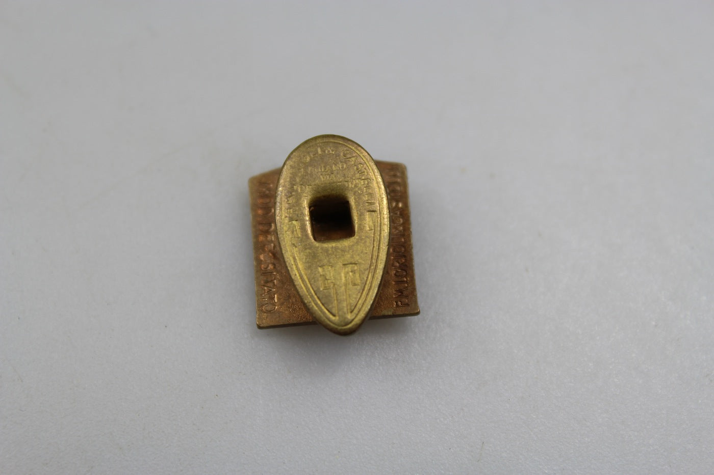 Pin smaltato PNF