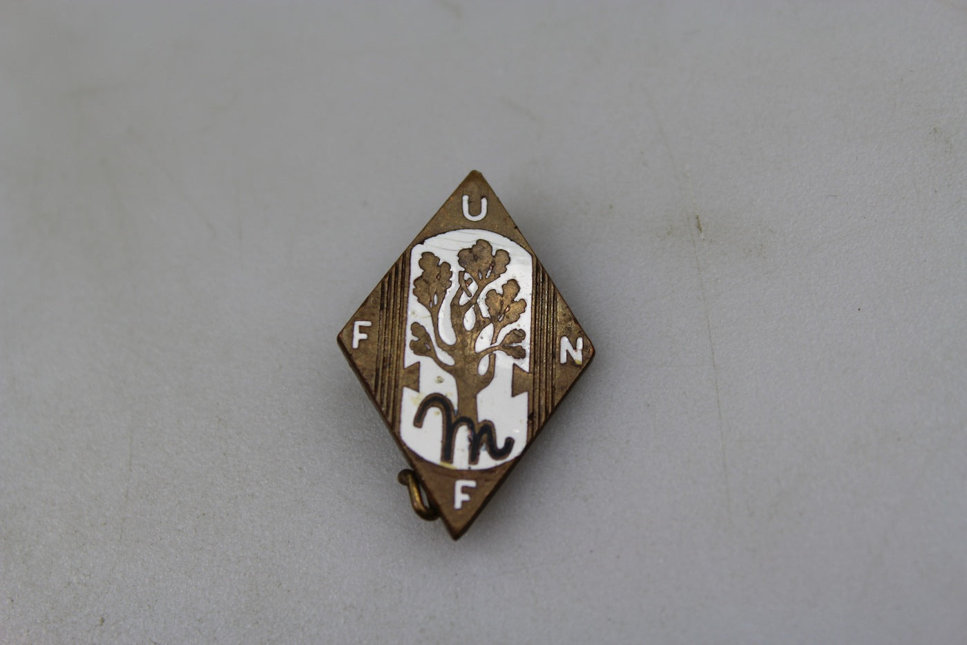 Pin smaltato da bavero UFFN