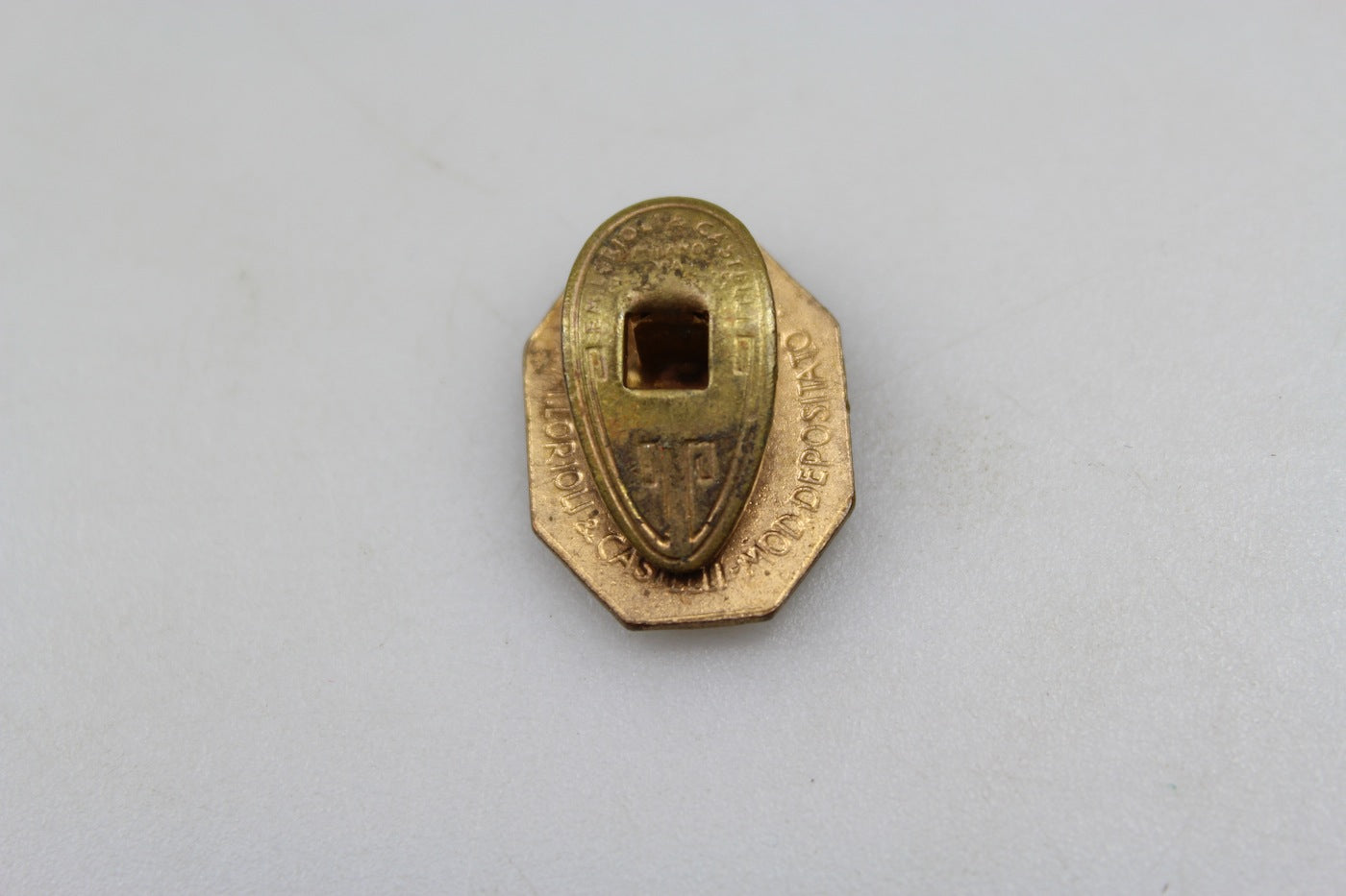 Pin smaltato FGC