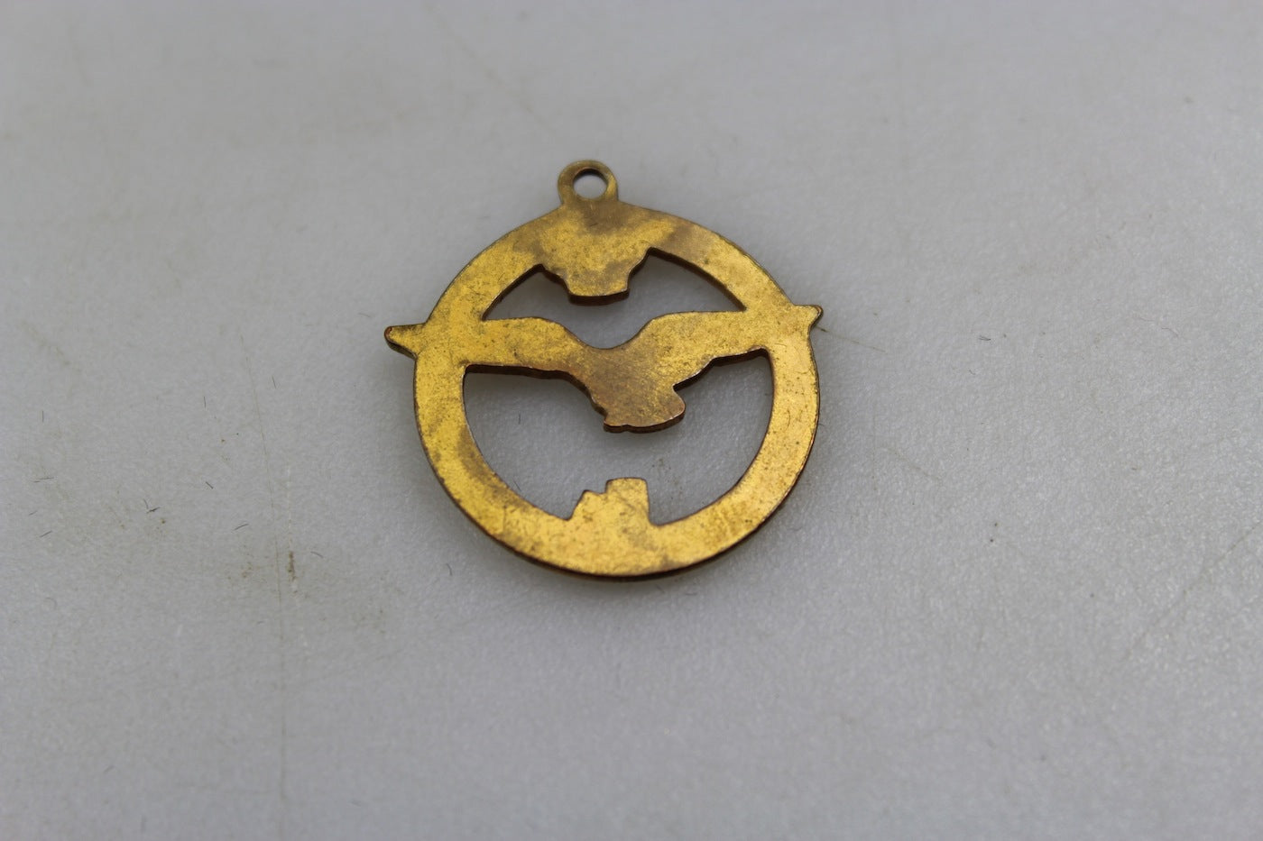 Medaglia Aereoclub "Luigi Gori ". -  Firenze