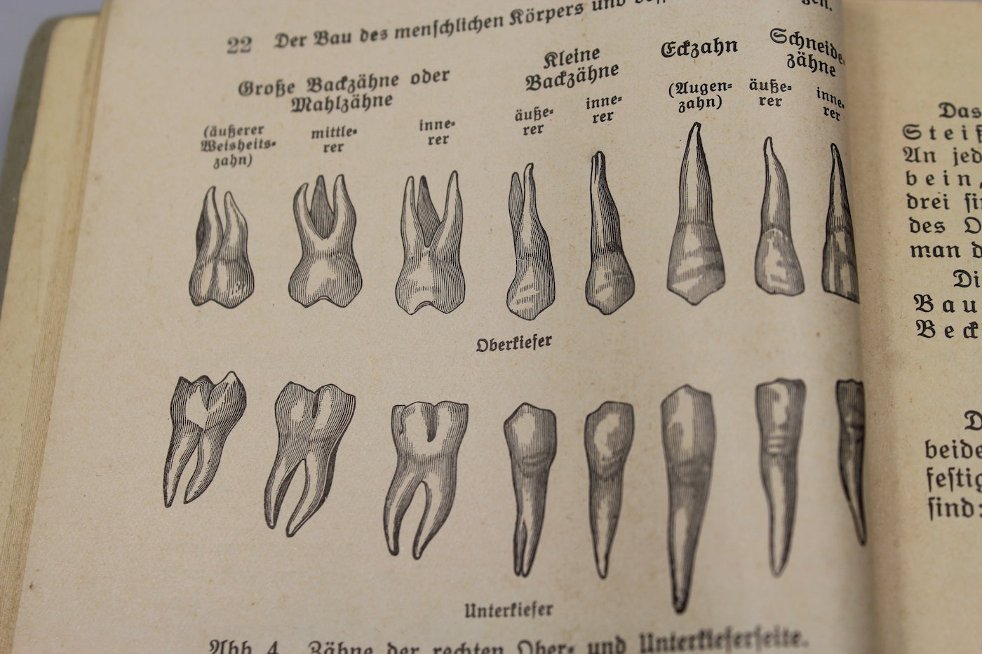 Manuale illustrato a colori DRK - 1937
