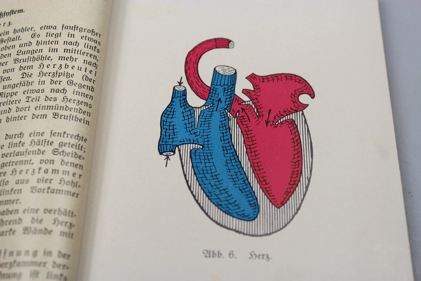Manuale illustrato a colori DRK - 1937