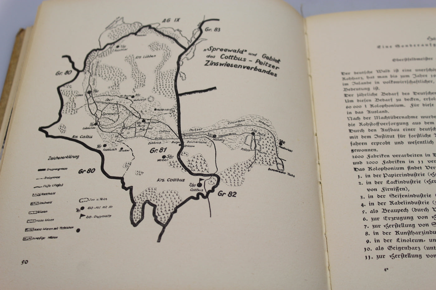 "Jahrbuch des Reichsarbeitsdienstes 1937/38"