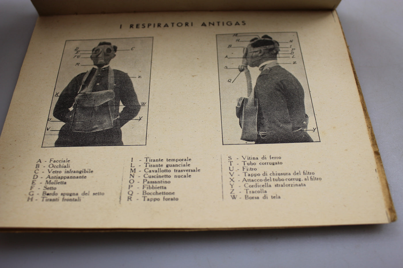 MVSN  "il Premilitare" XIII°