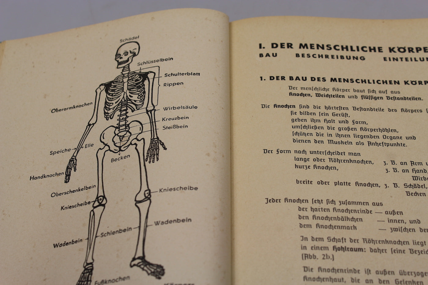 "Amtliches Unterrichtsbuch der Erste Hilfe" 1941