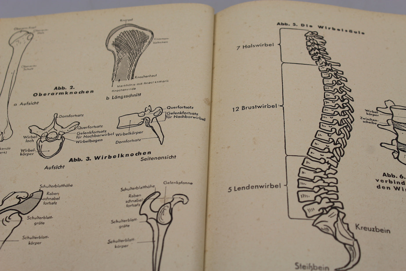 "Amtliches Unterrichtsbuch der Erste Hilfe" 1941