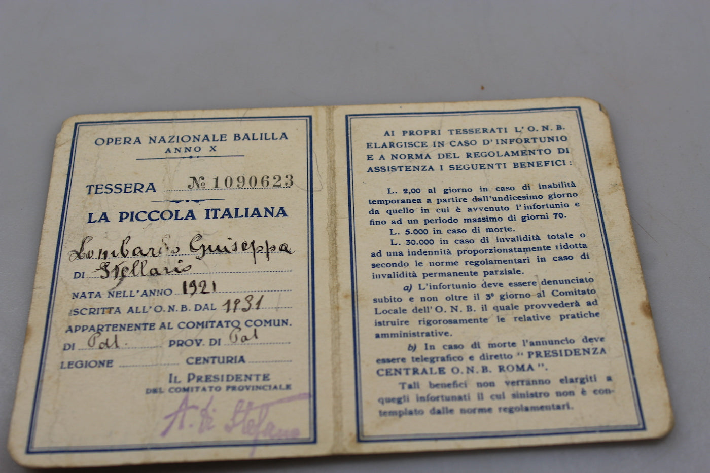Tessera ONB anno X°