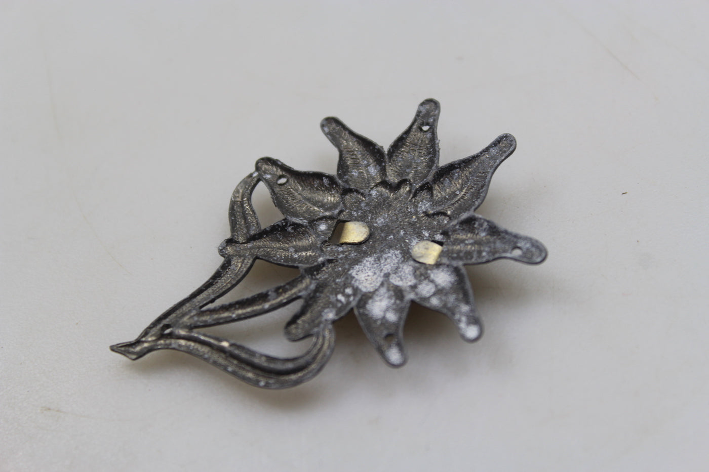 Edelweiss per Bergmutze GJ WW 2