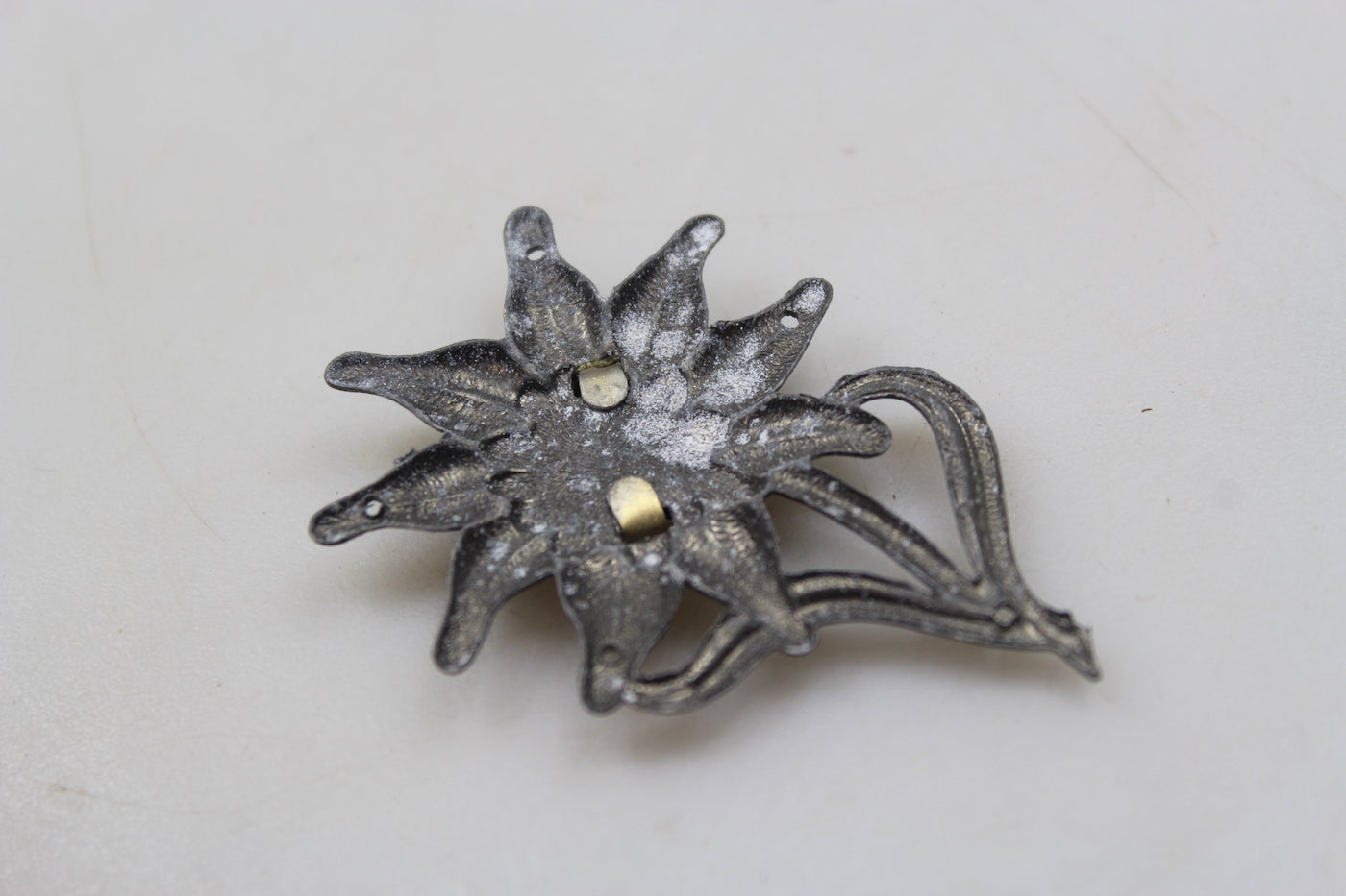 Edelweiss per Bergmutze GJ WW 2