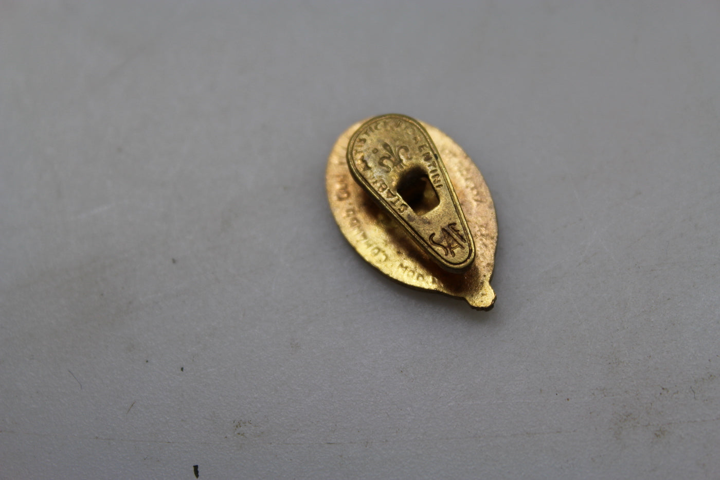 Pin smaltato GIL