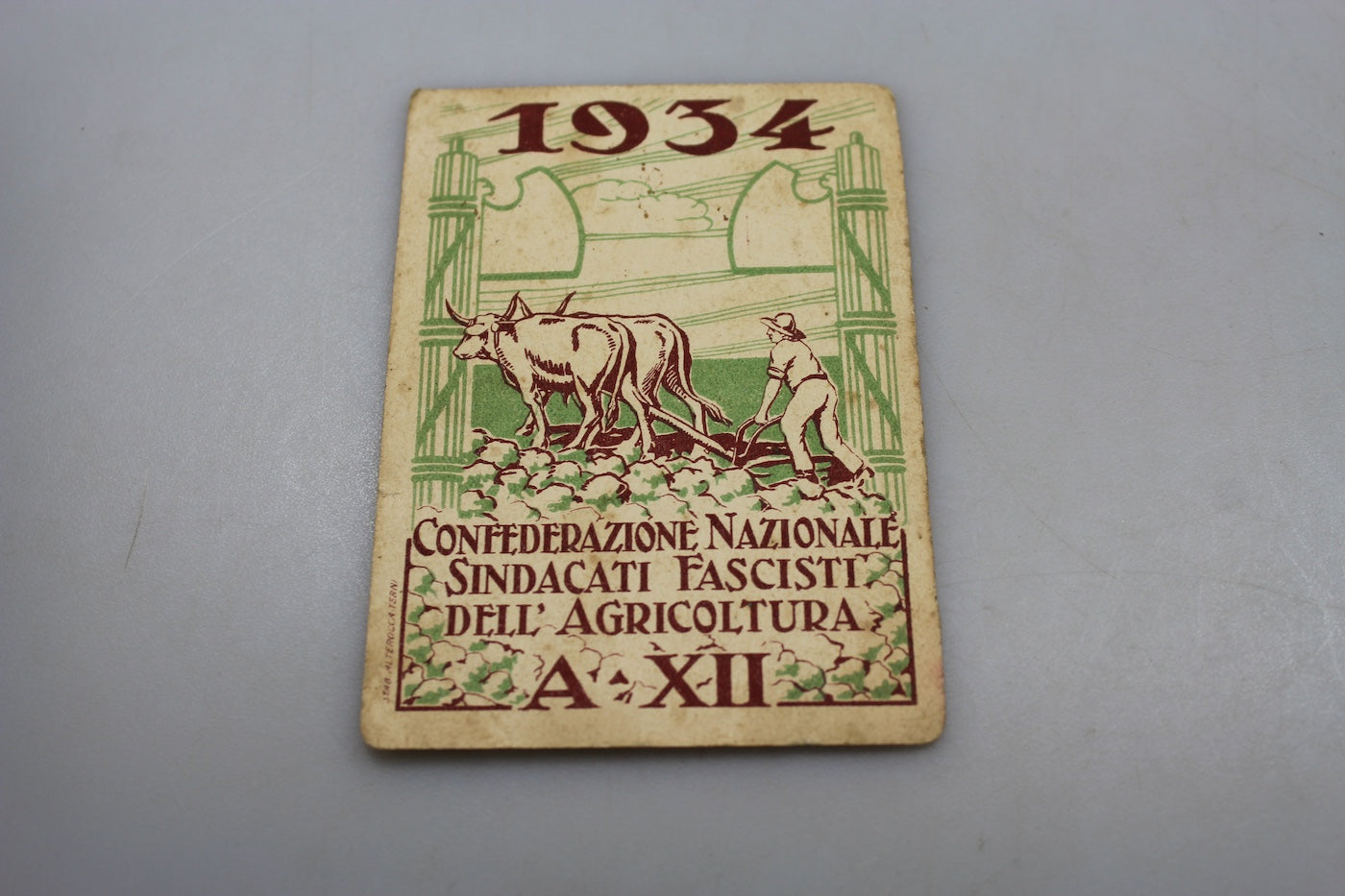 Tessera iscritto al C.N.F.S.A. anno XII° E.F.