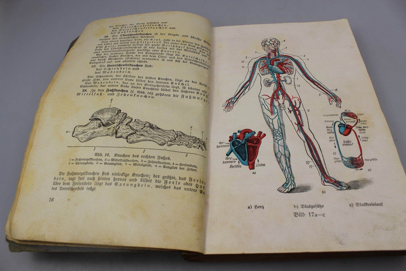 "Unterrichtsbuch fut Sanitats Unteroffizier und Mannschaften" 1939