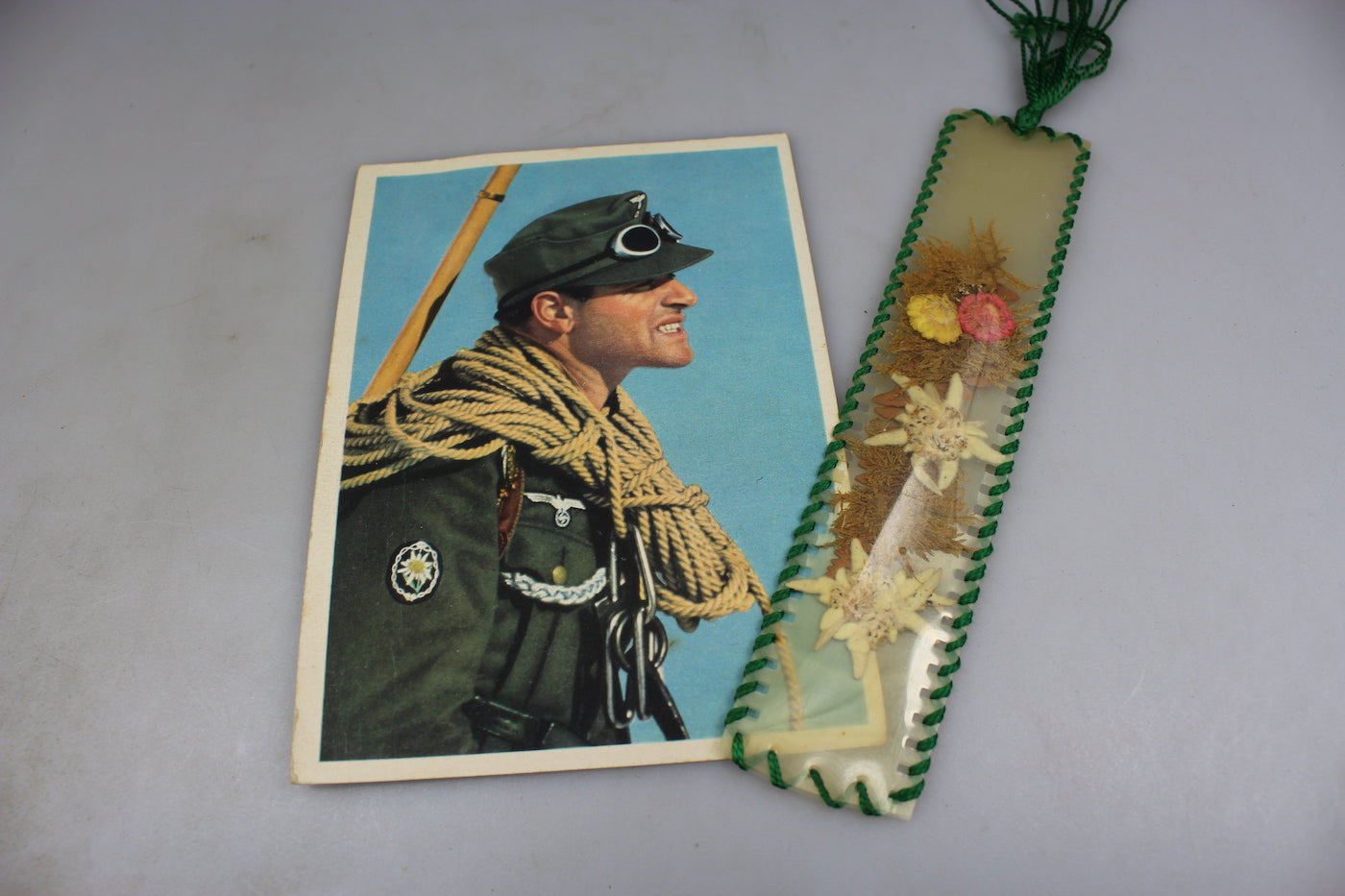 Cartolina postale a colori Gebirgsjager