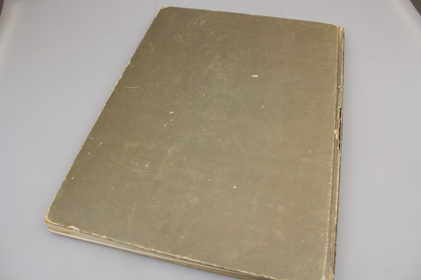"Ein Fliegerkorps im Einstz Ost"  - Verlag F.Bruckmann - Munchen