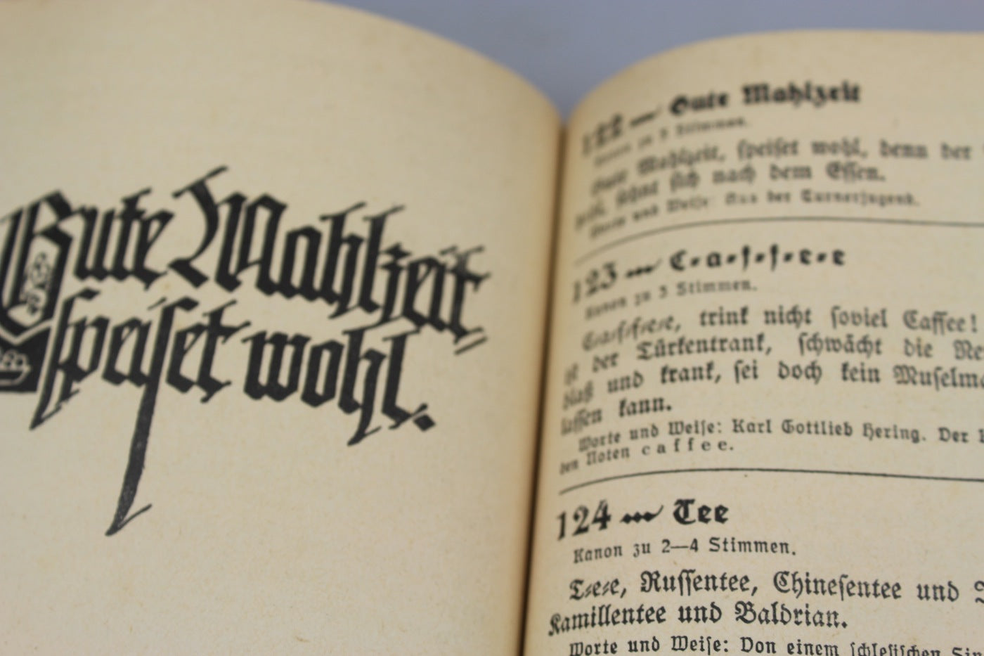 “Singend Wollen wir Marschieren”