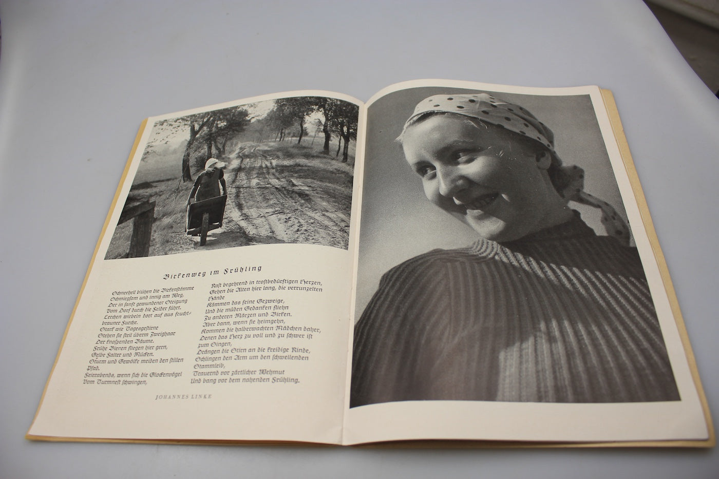 SS-Leitheft"" - Libretto guida selle SS - N°4 Aprile 1943, foto 9