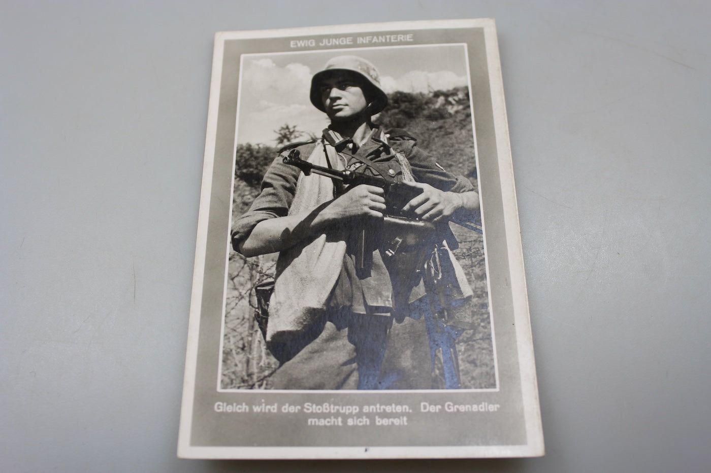 Cartolina postale Grenadier WH WW2
