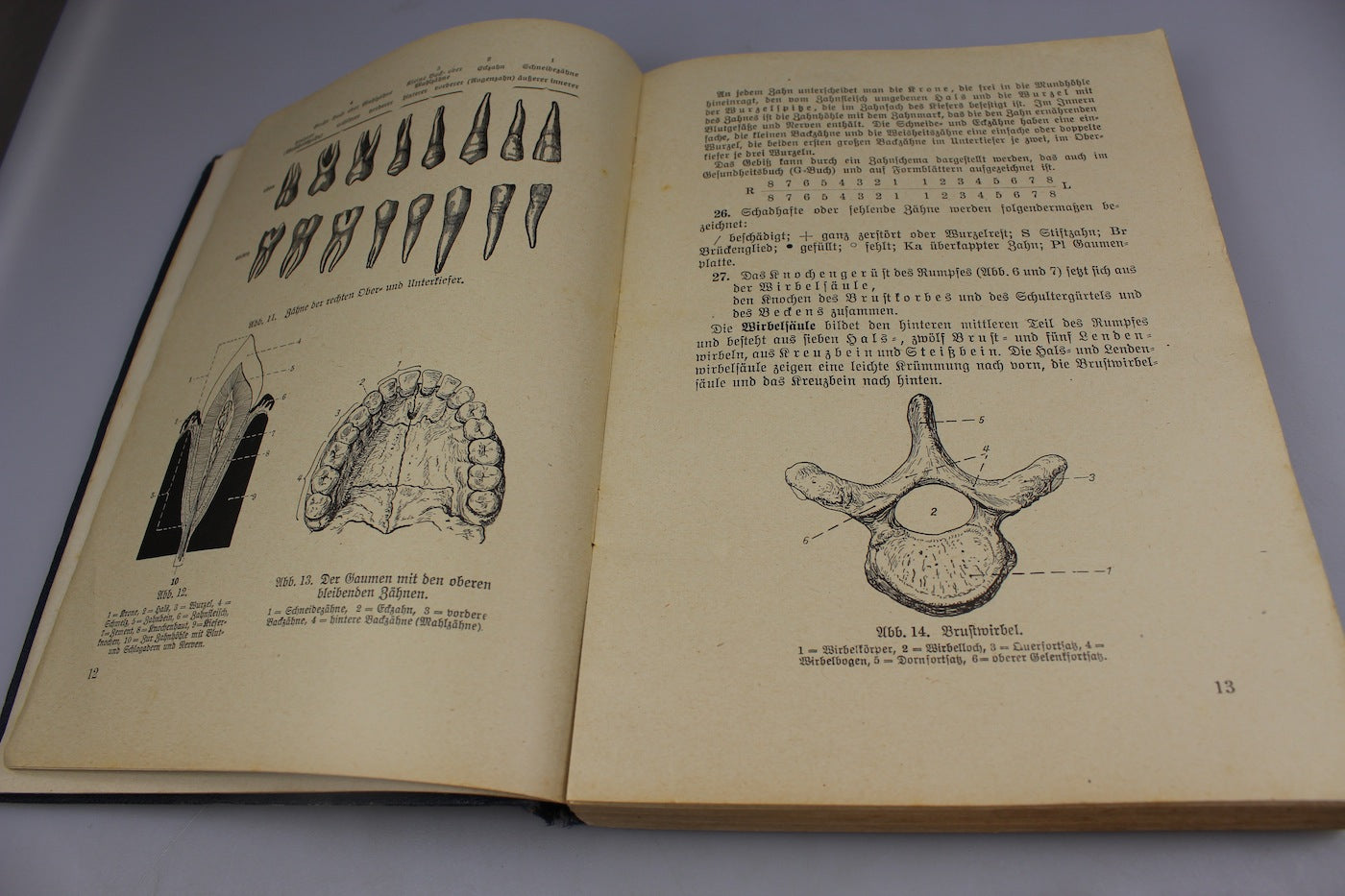 Manuale di Sanità del 1939