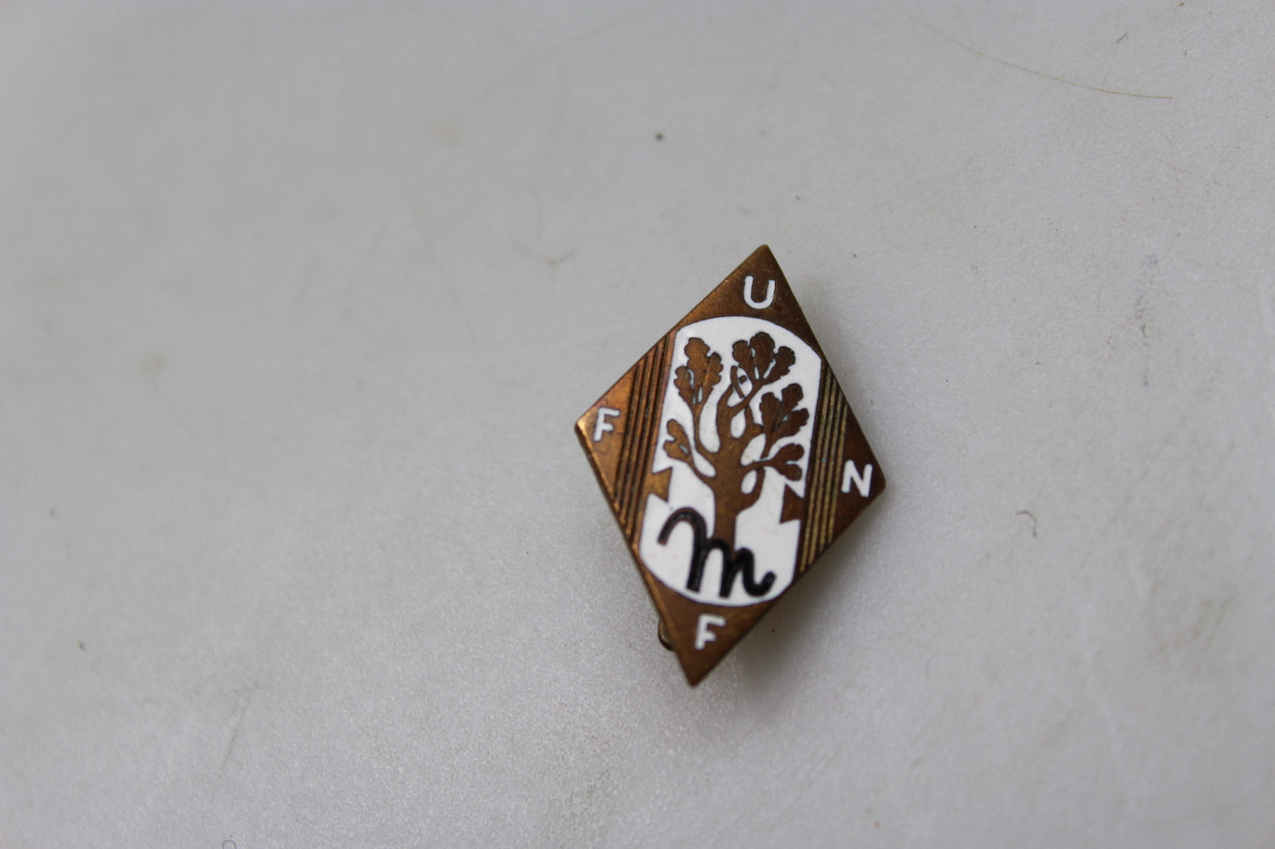Pin da bavero UFFN