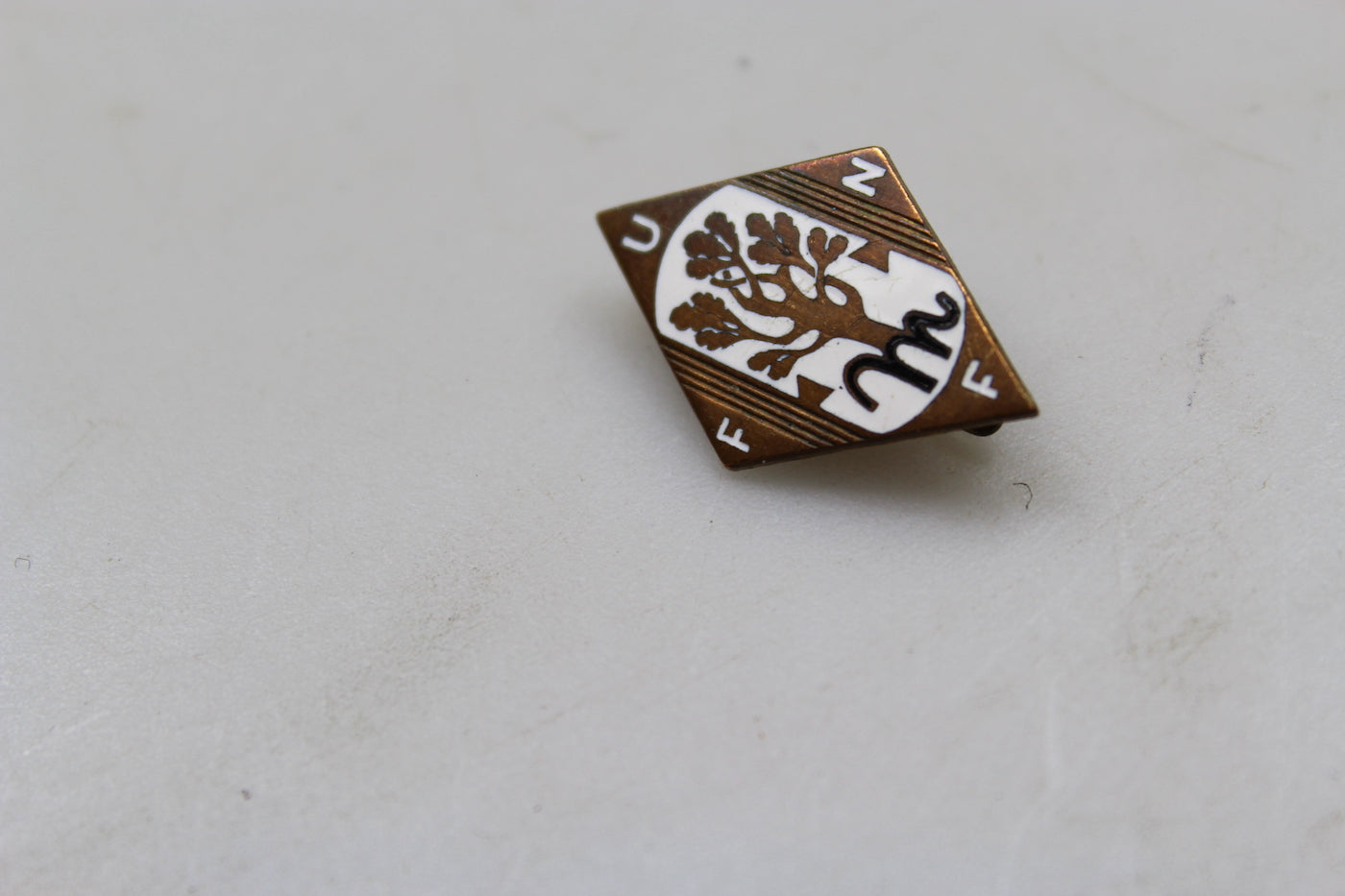 Pin da bavero UFFN