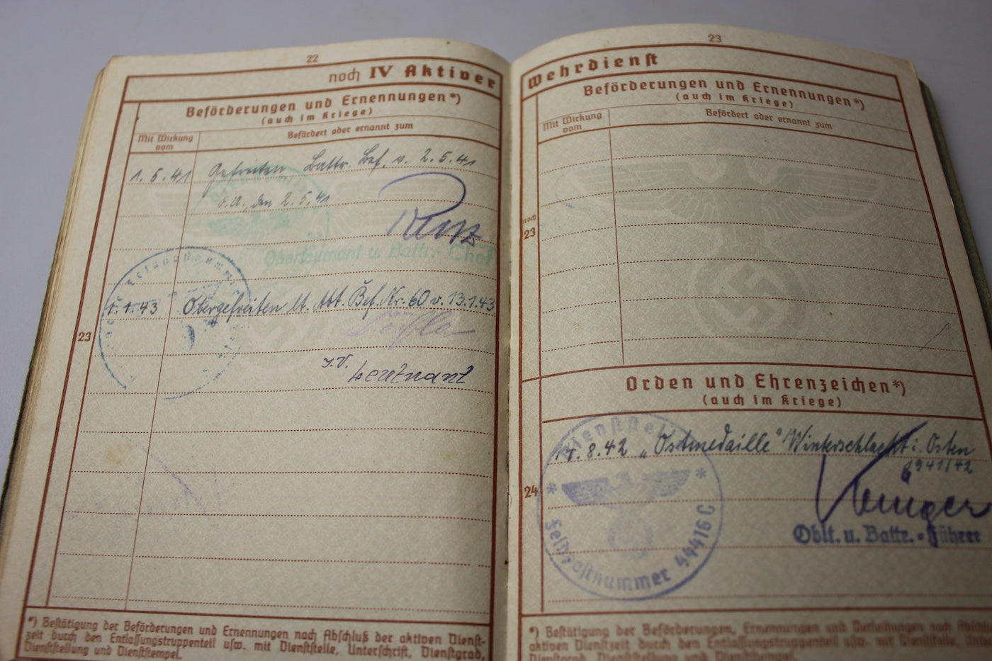 Wehrpass Gebirgsjager 1939-45
