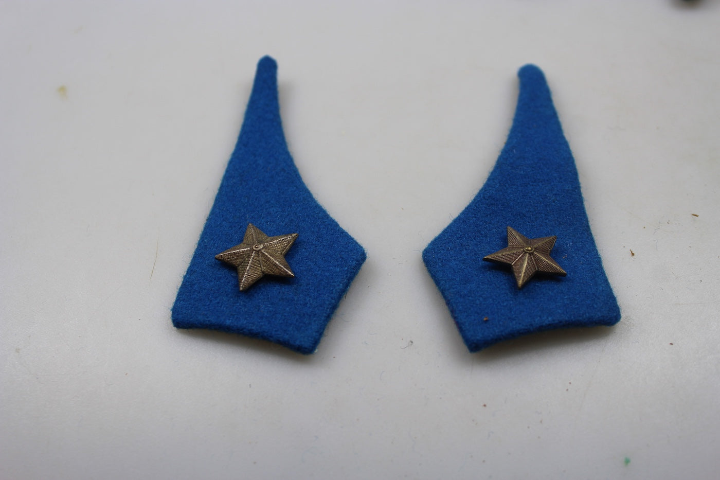 Coppia mostrine Veterinario REI WW2