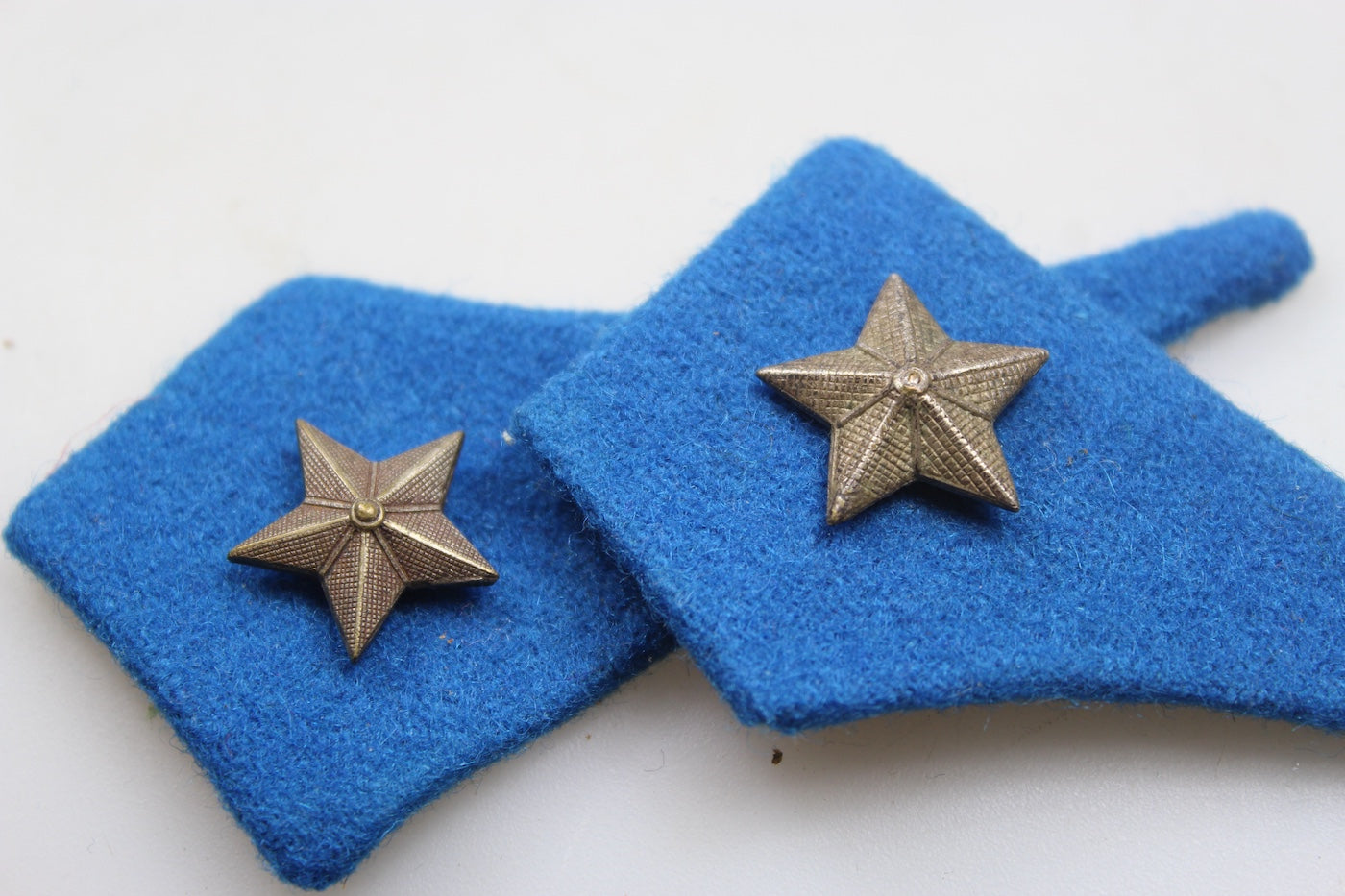 Coppia mostrine Veterinario REI WW2